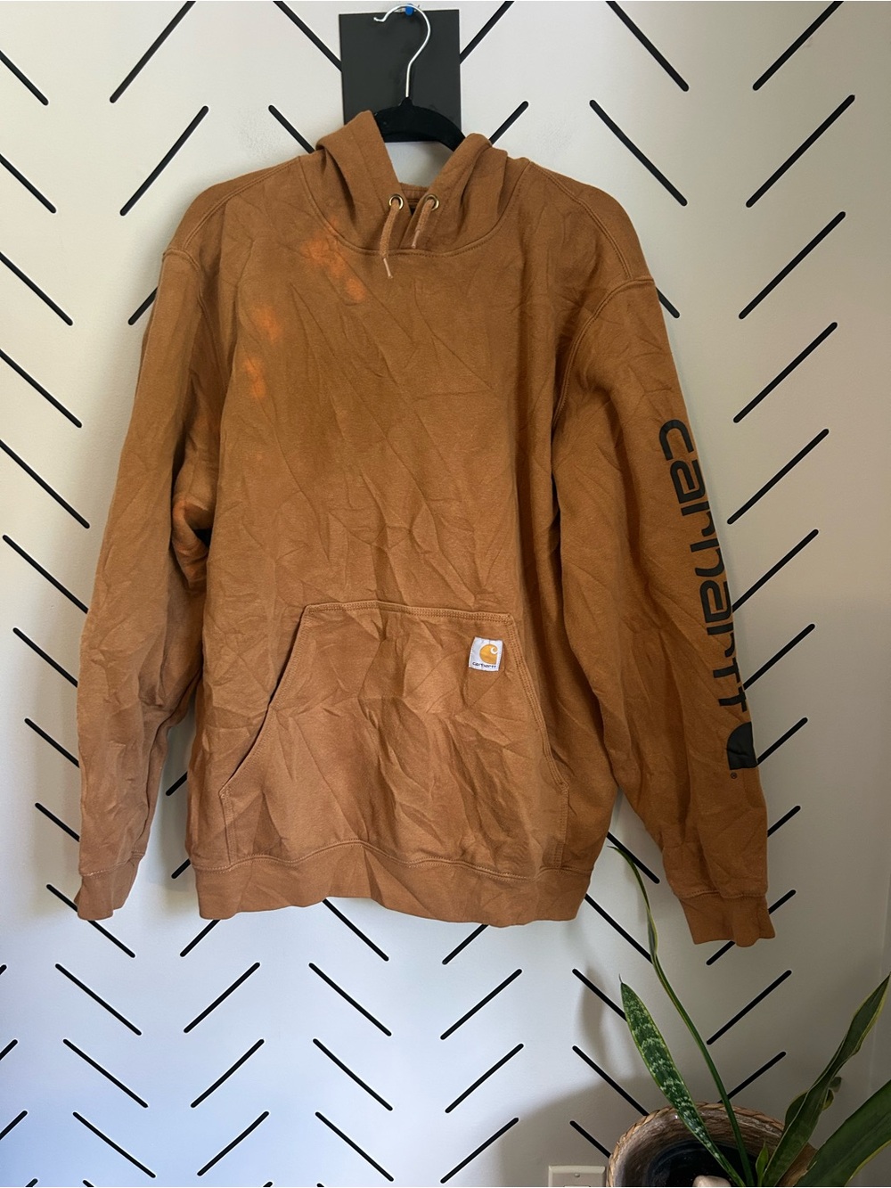 Carhartt men’s loose fit hoodie